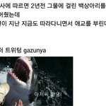 <b>은혜</b>갚는 백상아리ㅋㅋㅋㅋ