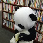 <b>팬더</b>는 독서중 ㅎ