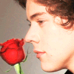 원디렉션 팬 없어?