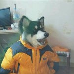 [다이어트] 건강/다이어트 판의 특징.<b>txt</b>