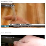 [꽃보다엽기] 소름돋는 일본 무<b>개념</b> 클라스