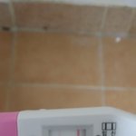 임신테스트기좀 봐주세요 급.