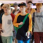 <b>와우</b> 갤러리보다 개극혐사진 발견