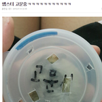 <b>햄스터</b> 고문한 새끼야 들어와봐