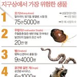 [추억팔아요] 지구상에서 가장 위험한 <b>생물</b>