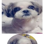 강서구 양천구 사시는분들 제발 저좀 도와주세요....