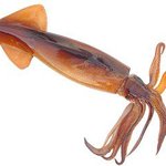 [EXO] 엑톡어그로 <b>고화질</b>.<b>jpg</b>