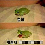 [댓글부탁해] 잡덕에 대해 어떻게 생각해?