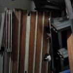 거처 잃은 아기 고양이 입양하실 분 찾고 있습니다. (사진 있음)