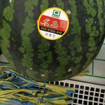 [EXO] 시골<b>총각</b> 종인이네