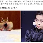 [시우민] 드디어 밝혀진 <b>다람쥐</b>와 시우민의 관계 두둥