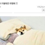 초<b>중생</b>만 그러는줄알앗는데 대학생도 개념없음진짜