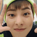 [엑소] ㄹㅇ <b>만화캐릭터</b>같이 생김..;