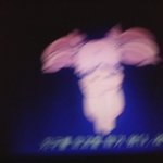 [EXO] 지구를 파괴할때가 왔다, <b>래빗</b>!