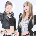 [모든팬덤] 소녀시대 팬덤 투톱이었던 jpg