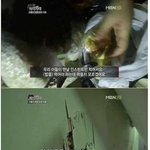 [추억팔아요] 괴물이 되어 버린아들