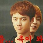[EXO] ㅅㄷ인데 <b>크로</b>쉬오아시스 자언티가불르면더괜찮을꺼같은데