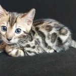 [하트<b>민트</b>] 캔유삘마하트민트