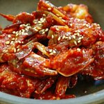 [조언부탁해] 제발 누가 나좀 말려줘ㅠㅠㅠㅠ