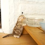 [수리<b>노을</b>] 물 처음 먹어봐요