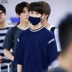 [뉴트] 머<b>용사</b>마는 안감 ㅎㅎ? 