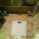 <b>사물</b>들의 기묘한 제자리 모음