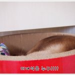 [밤이] <b>통성명</b>