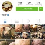 [댓글부탁해] 나만 이해 안되는건가??