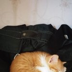 추가+)<b>자몽</b>이 인사드려요~