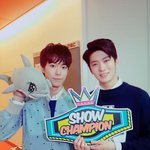 [뉴트] <b>타라</b>와 타라와 타라와 