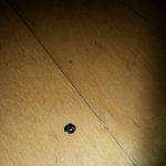 [EXO] 이거 <b>무당</b>벌레임???