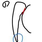 [댓글부탁] 얘들아급해!!<b>머리묶</b>을때 모양ㅠㅜ