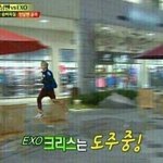 [EXO] 둘기즈 뒤통수 <b>예언</b>짤