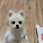 내 이름은 뽁씨-2
