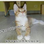 [꼬봉이<b>산이</b>] 하쿠나마타타'`!!