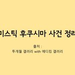 [제발알려줘] 미스틱 후쿠시마 사건 정리