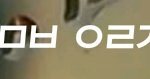 여러분 <b>초성</b> 풀어주세요ㅠㅠ