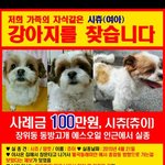 츄이 입니다 제발 관심 부탁드려요 공유 부탁드려요