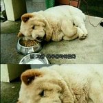 [드루와] 야동보다가
