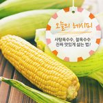 [<b>옥수수</b>] 광고아냐) <b>옥수수</b> 맛있게 쪄먹기