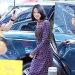 요즘 잘먹고 다니는 것 같은 공블리