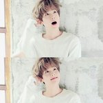 변백현이 <b>조련</b>킹인 이유