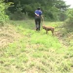 (추가 제작진글)살인<b>진드기</b>에 강제로 물리게 되는 개.. 너무 화가...