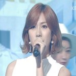 [에이핑크] 요즘입덕위기여아이돌