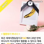 [알려줘요] 바나나가 <b>멸종</b>될 수 있다구요???