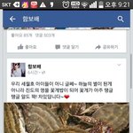 [댓글부탁해] 빡침주의 페이스북 <b>세월</b>호 할아버지 욕하는 인간 ;...
