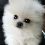 내 이름은 뽁씨!!!-3