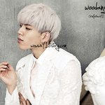 [인피니트] +짤추가!!!)뜬금인데 애들 머리염색