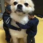 [드루와] system <b>error</b>