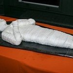 먹고싶지 않은 특이한 <b>케익</b>들